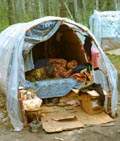 Moldavian gypsy-girl in her tent. (33777 bytes)